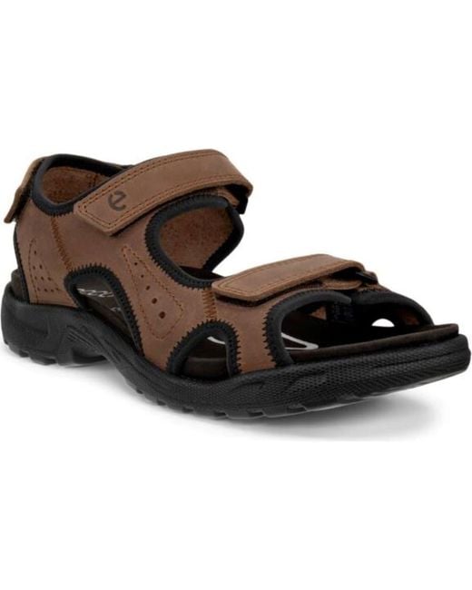 Ecco Brown Hike Sandal for men