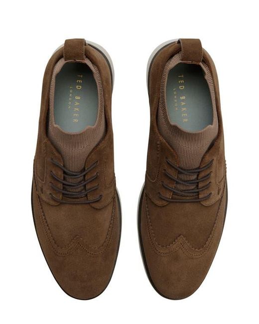Ted Baker Brown Farrington Derby for men