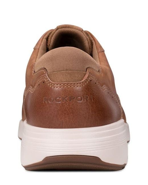 Rockport Brown Noah Plain Toe Derby for men