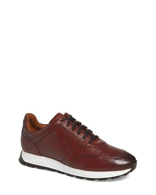 Allen Edmonds Brown Everett Slip-On Sneaker for men