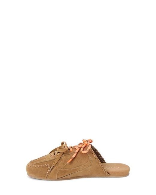 Matisse Brown Devyl Lace-Up Mule
