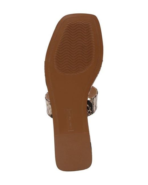 Steven New York Brown Pava Sandal