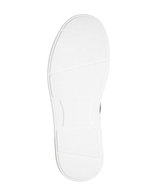 Roberto Cavalli White Cavalli Class Low Top Sneaker for men