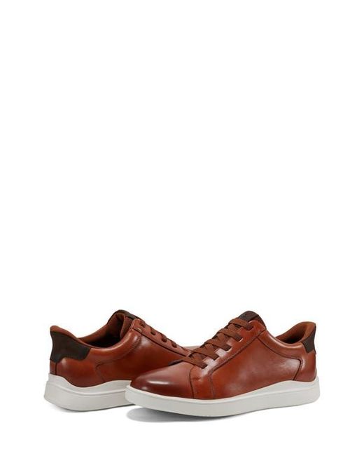 Rockport Brown Tynnar Sneaker for men