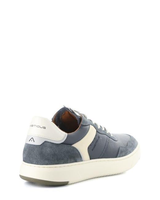 Ambitious Blue 13673 Sneaker for men