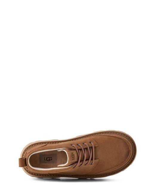 Ugg Brown Chukka Lug Boot for men