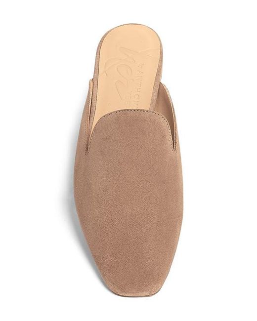 Anthony Veer Brown Lara Mule