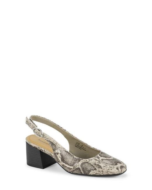 BareTraps Gray Ester Block Heel Slingback Pump