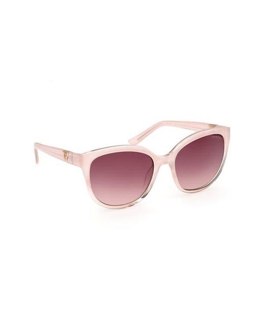 Guess Pink Round Sunglasses for men