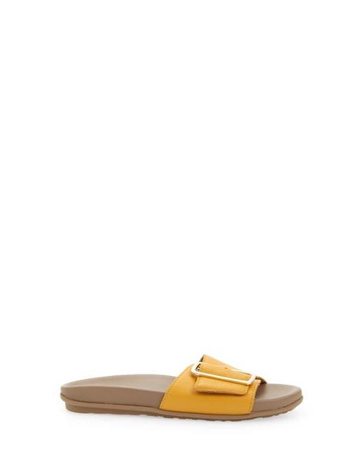 Naot Multicolor Tahiti Slide Sandal