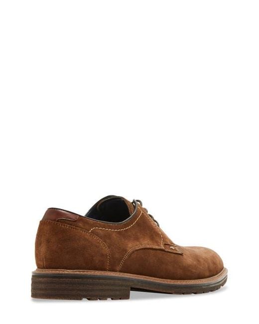 Steve Madden Brown Aeden Derby for men