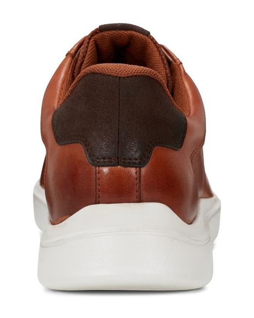 Rockport Brown Tynnar Sneaker for men