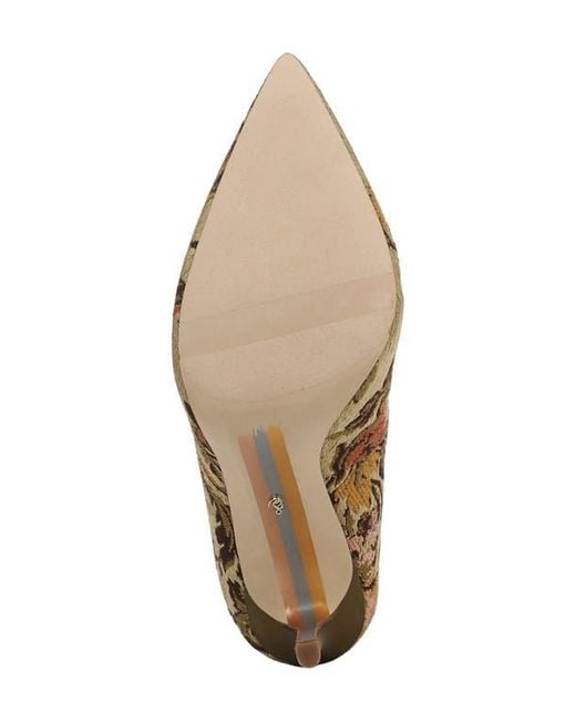 Sam Edelman Brown Hazel Pointed Toe Pump