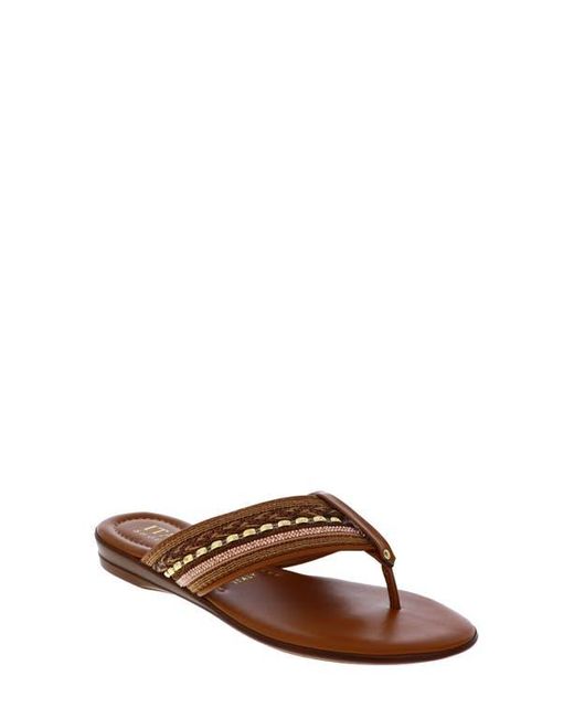 Italian Shoemakers Brown Zali Slide Sandal