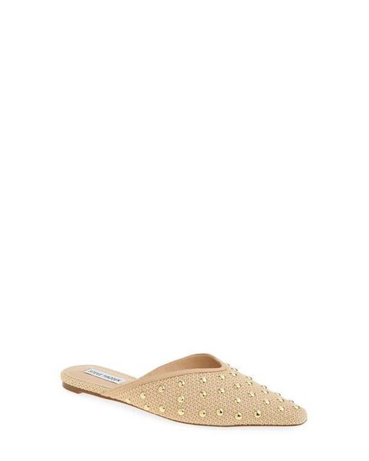 Steve Madden★Mayah Studded Mule ミュール フラットサンダル Steve Madden Mayah Studded Mule (Women) | Nordstromrack