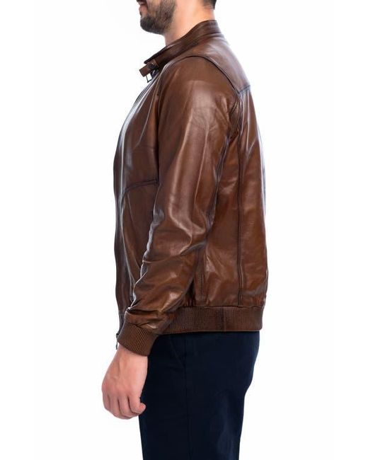 VELLAPAIS Brown Larue Leather Jacket for men