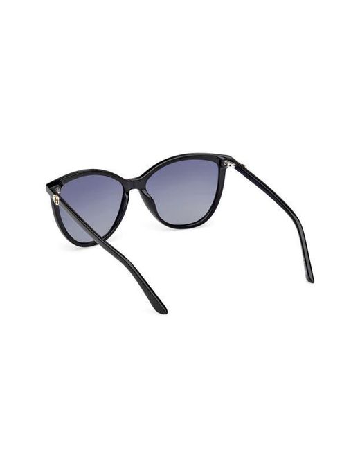 Guess Blue Cat Eye Sunglasses for men