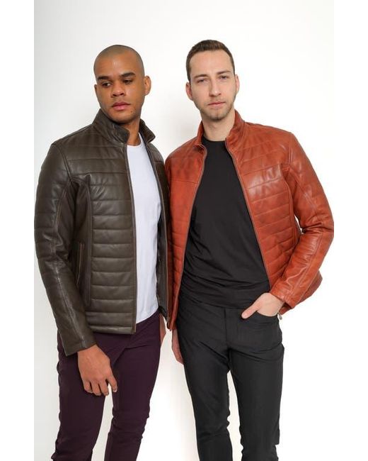 PINOPORTE Brown Quilted Leather Jacket for men