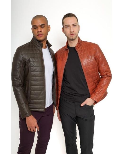 PINOPORTE Brown Quilted Leather Jacket for men