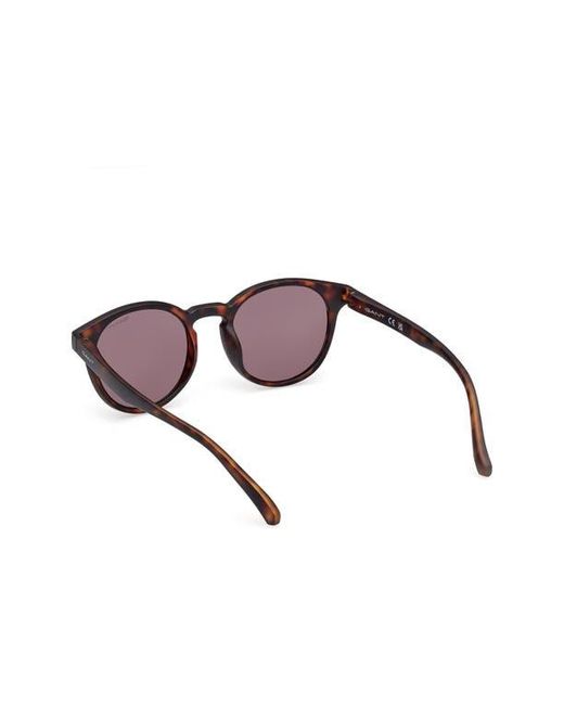 Gant Brown Oval Sunglasses for men