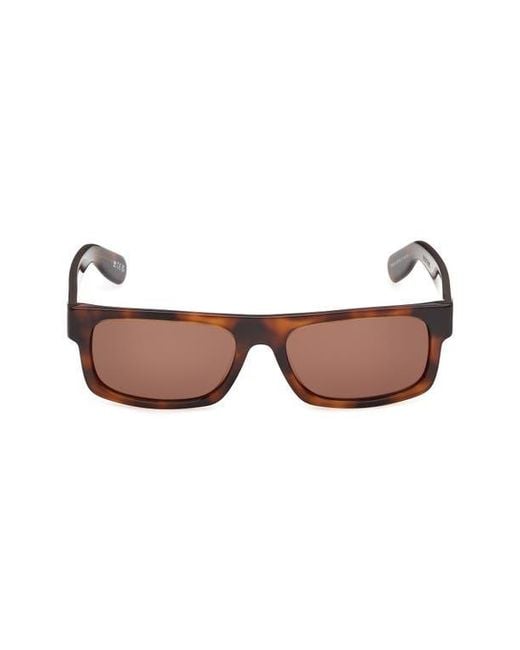 Adidas Brown Rectangular Sunglasses for men