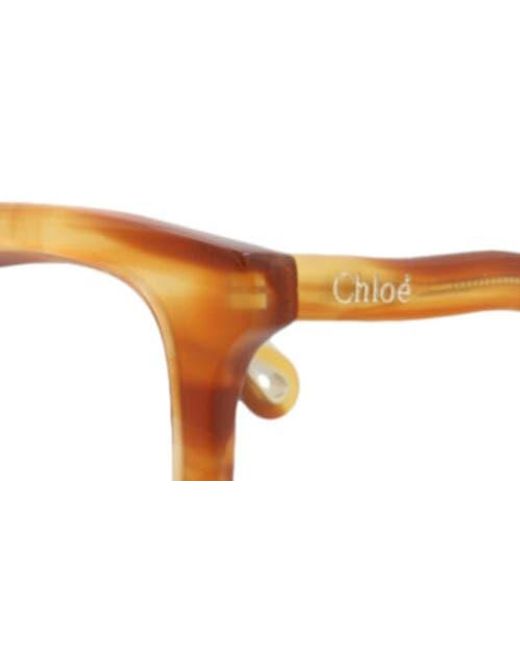 Chloé Brown 49Mm Square Optical Glasses