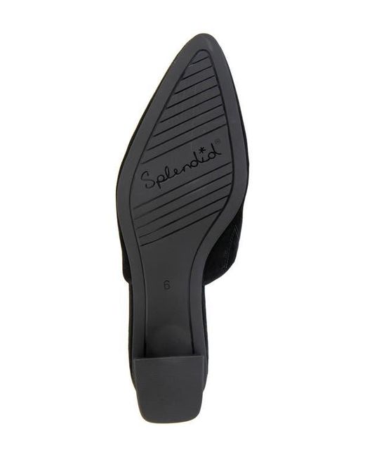 Splendid Black Laylai Pointed Toe Mule