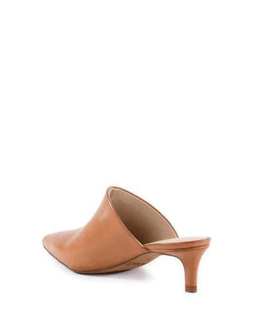 Seychelles Brown Stefani Pointed Toe Mule