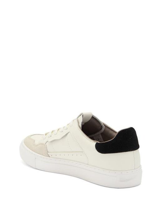 AllSaints White Alton Low Top Sneaker for men