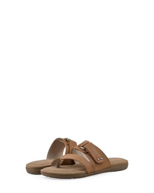 White Mountain Brown Fancify Toe Loop Sandal