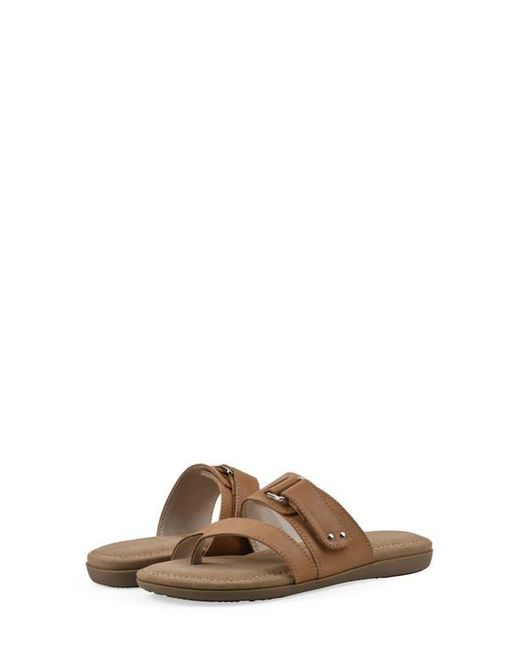 White Mountain Brown Fancify Toe Loop Sandal
