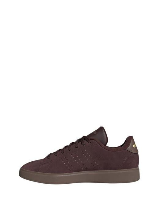 Adidas Brown Advantage 2.0 Low Top Sneaker for men