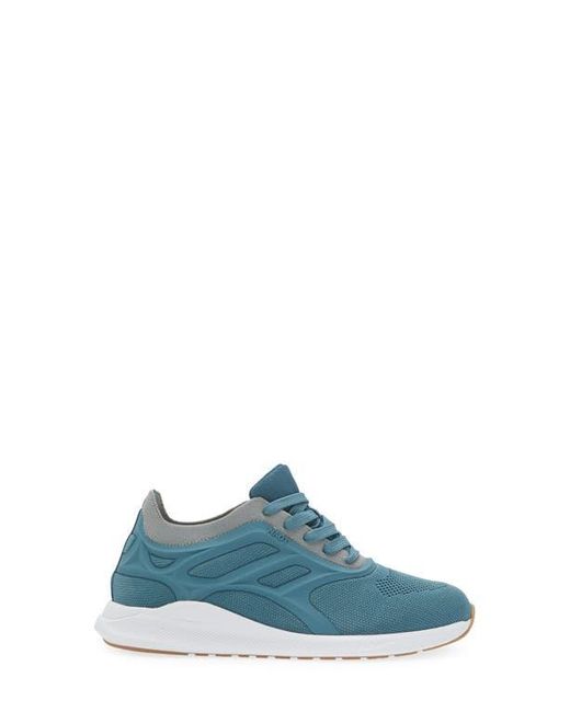 Naot Blue Krypton Sneaker