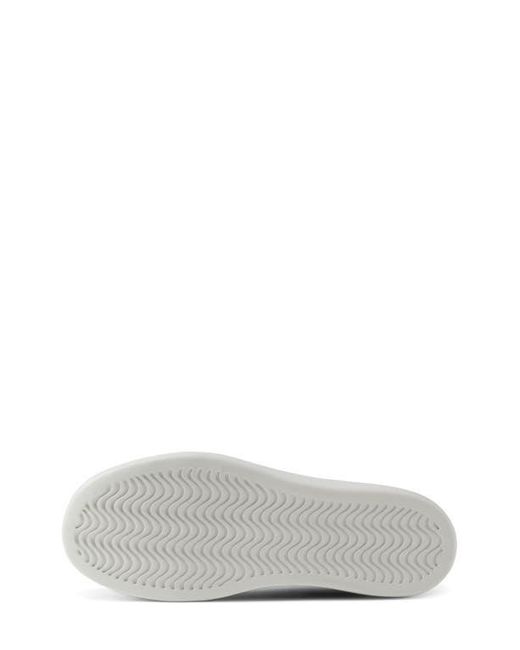 ALLBIRDS Purple Canvas Piper 2 Sneaker for men