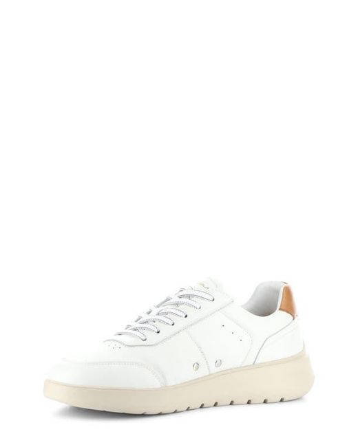 Ambitious White 12863 Low Top Sneaker for men