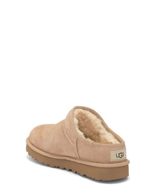 Ugg Brown Classic Slipper