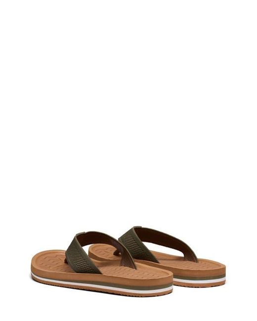 Swims Brown Napoli Flip Flop for men