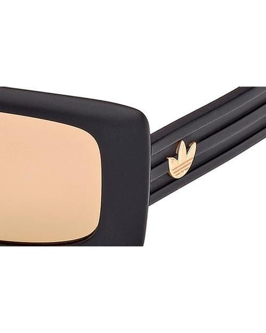 Adidas Natural Rectangular Sunglasses for men