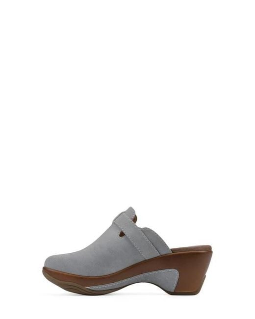 White Mountain Gray Viewed Mule