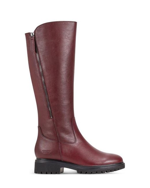 rockport knee high boots