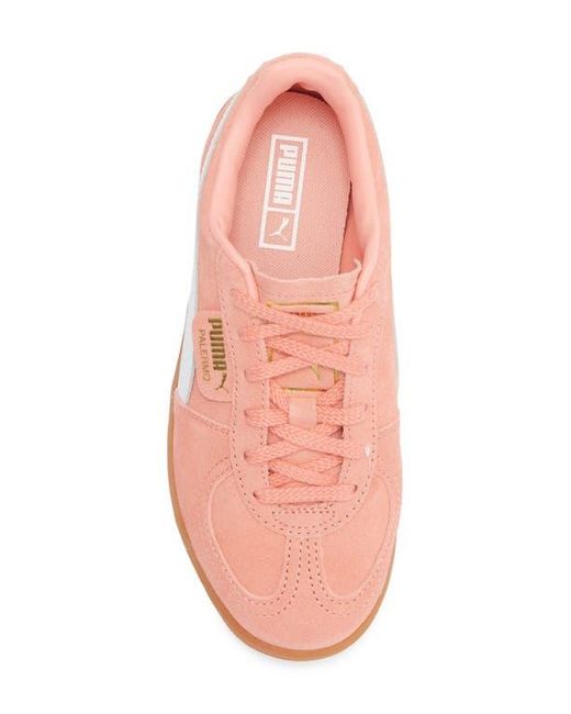 PUMA Pink Palermo Elevata Platform Sneaker