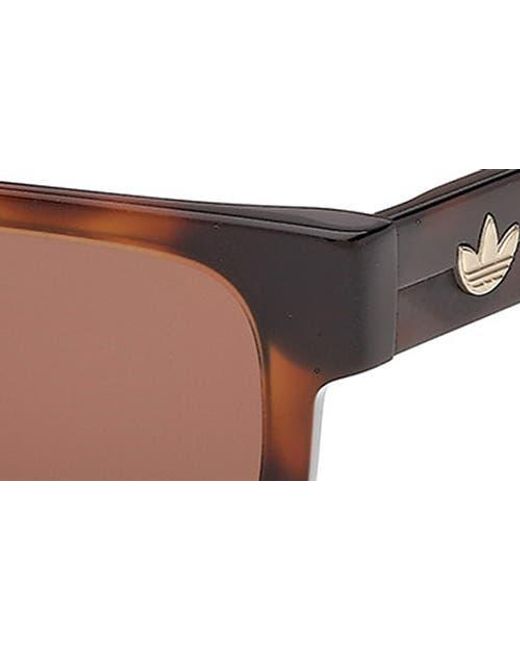 Adidas Brown Rectangular Sunglasses for men