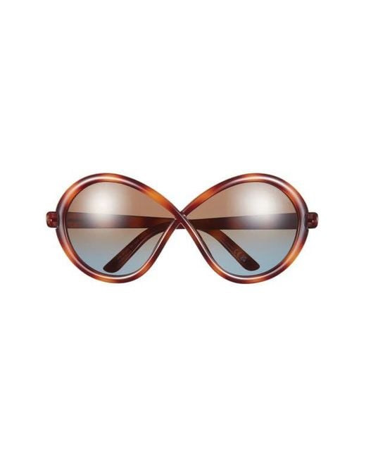 Tom Ford Brown 68Mm Gradient Butterfly Sunglasses