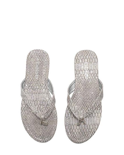 Bebe Gray Python Embossed Thong Sandal