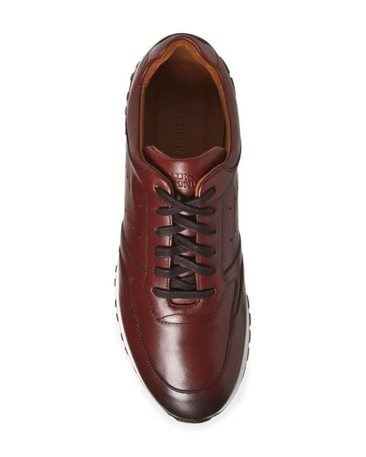 Allen Edmonds Brown Everett Slip-On Sneaker for men
