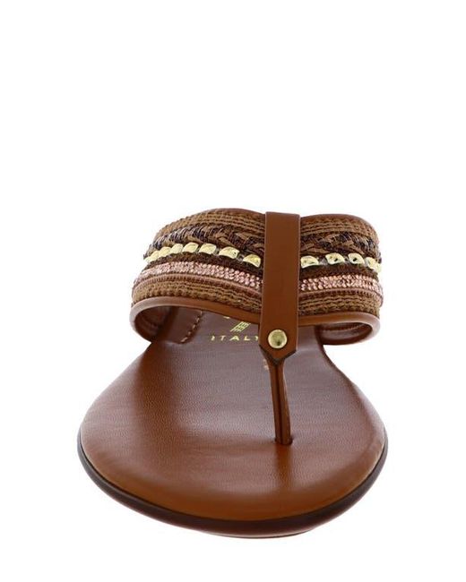 Italian Shoemakers Brown Zali Slide Sandal