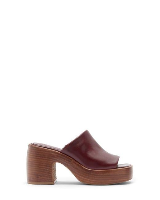 Steve Madden Brown Shanton Platform Slide Sandal