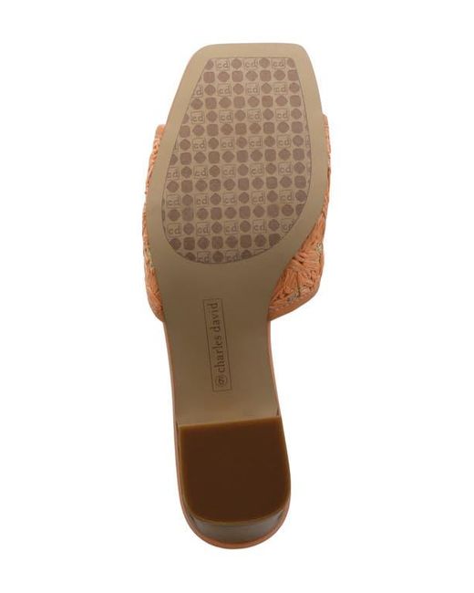 Charles David Brown Raffi Slide Sandal
