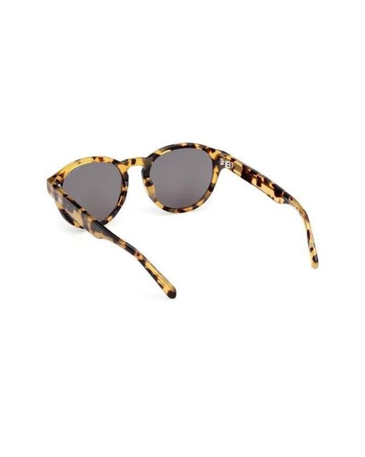Gant Brown Round Sunglasses for men