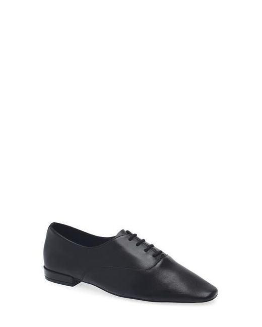 Seychelles Black Starlight Lea Oxford